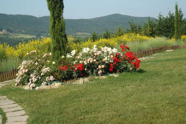 Aquaviva Hotel & Spa (Casole d'Elsa)